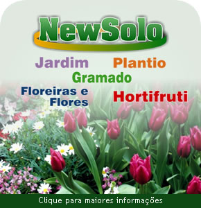 NewSolo