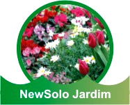 NewSolo Jardim
